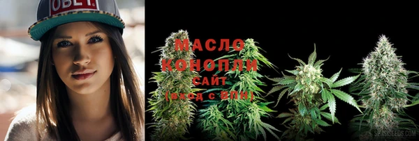 амф Каменногорск