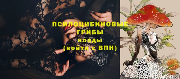крисы Карпинск