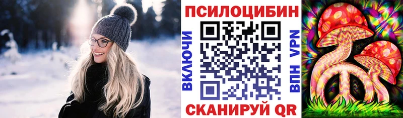 Купить где  Кедровый  Псилоцибиновые грибы Psilocybine cubensis 